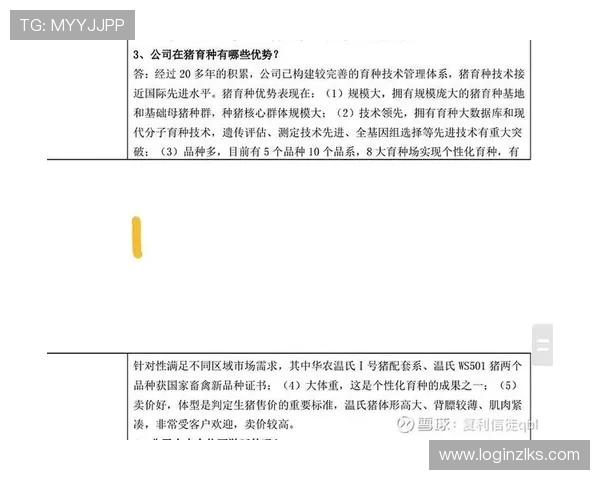 探讨凯时ks88正版在市场上的竞争优势与发展前景